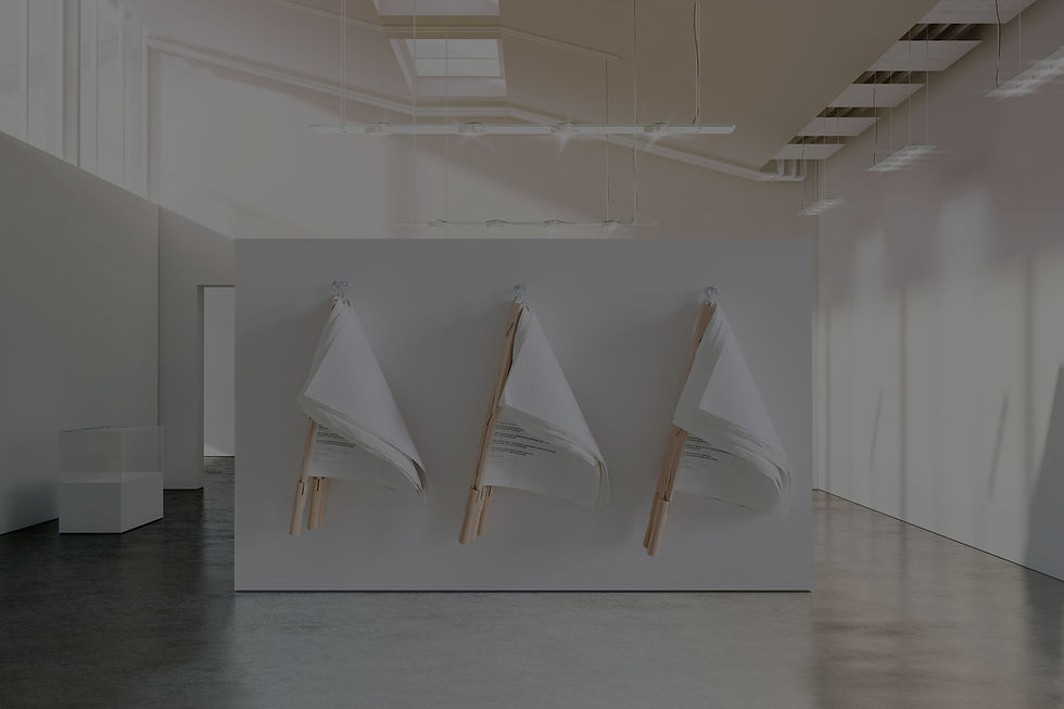Exhibited%20Document%20Flags_edited.jpg