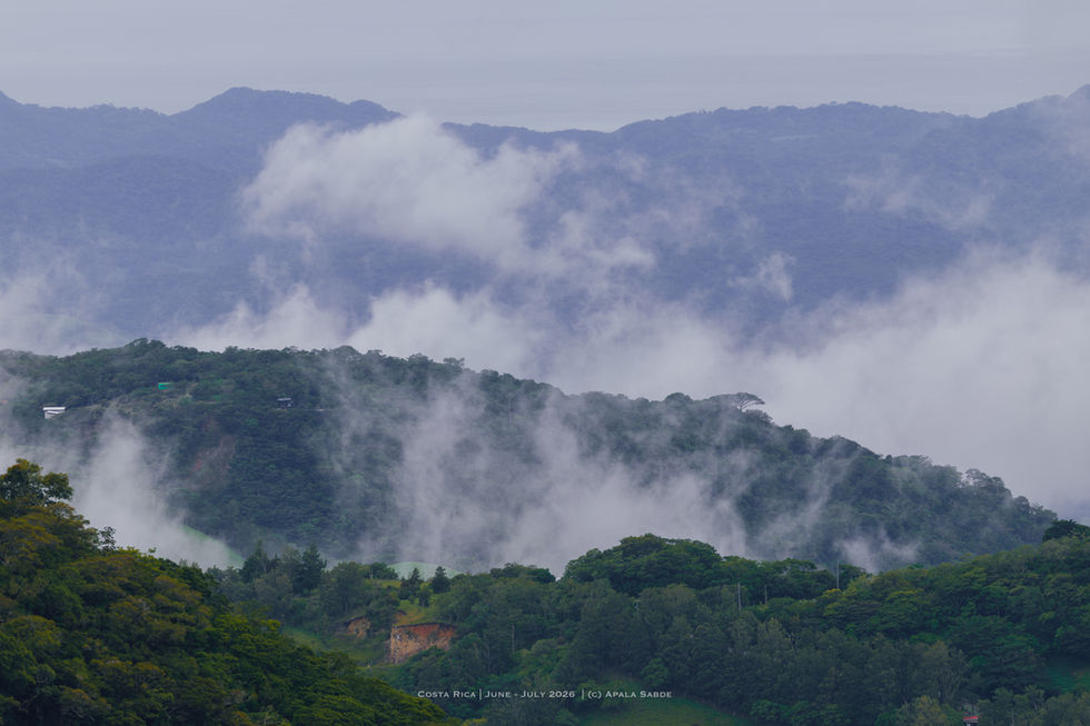 Monteverde Cloud Forest