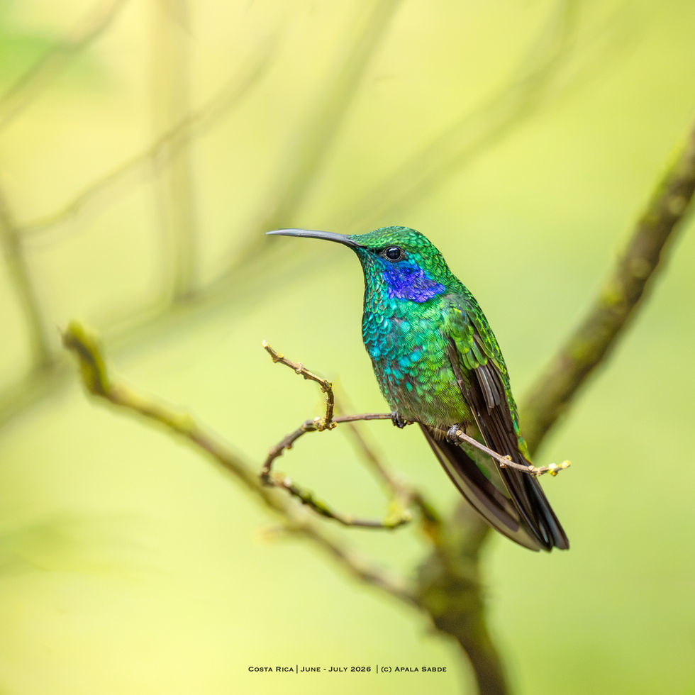 Costa Rica -151.jpg