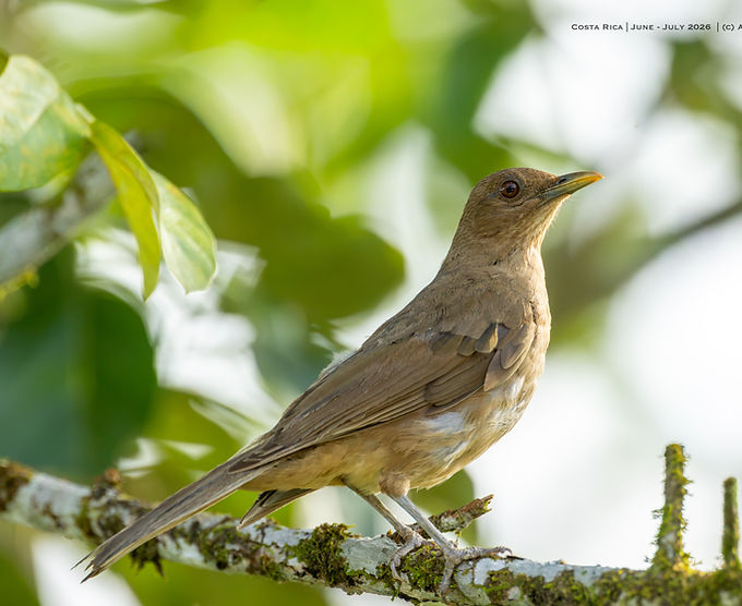 Costa Rica -1.jpg