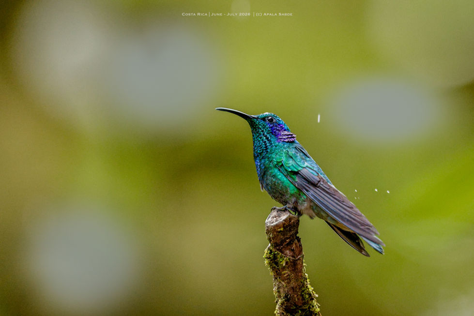 Costa Rica -158.jpg