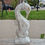 Thumbnail: Seahorse driftwood 1156