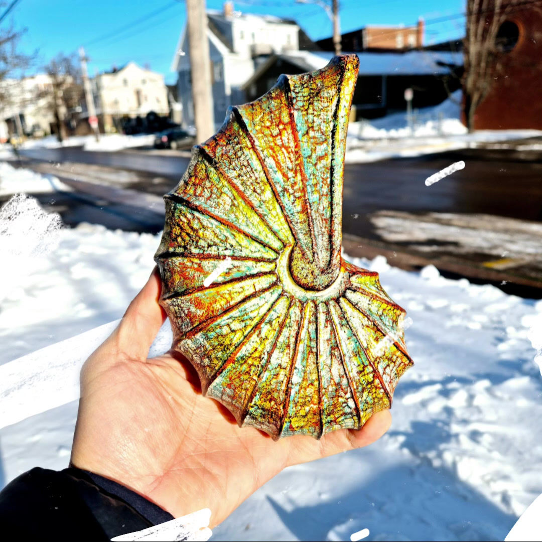 Seashell Figurine Handcrafted Driftwood Rainbow Home Decor Conch shell 1186