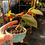 Thumbnail: Ardisia Mamillata bonsai