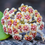 Thumbnail: Hoya Kerrii Heart Green