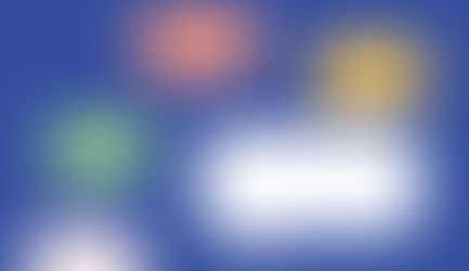 Hear From Past Participants of the SDN Academy "Masterclasses Series"