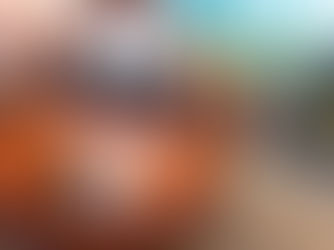 Get the most bang for your buck on your next Walt Disney World Vacation!