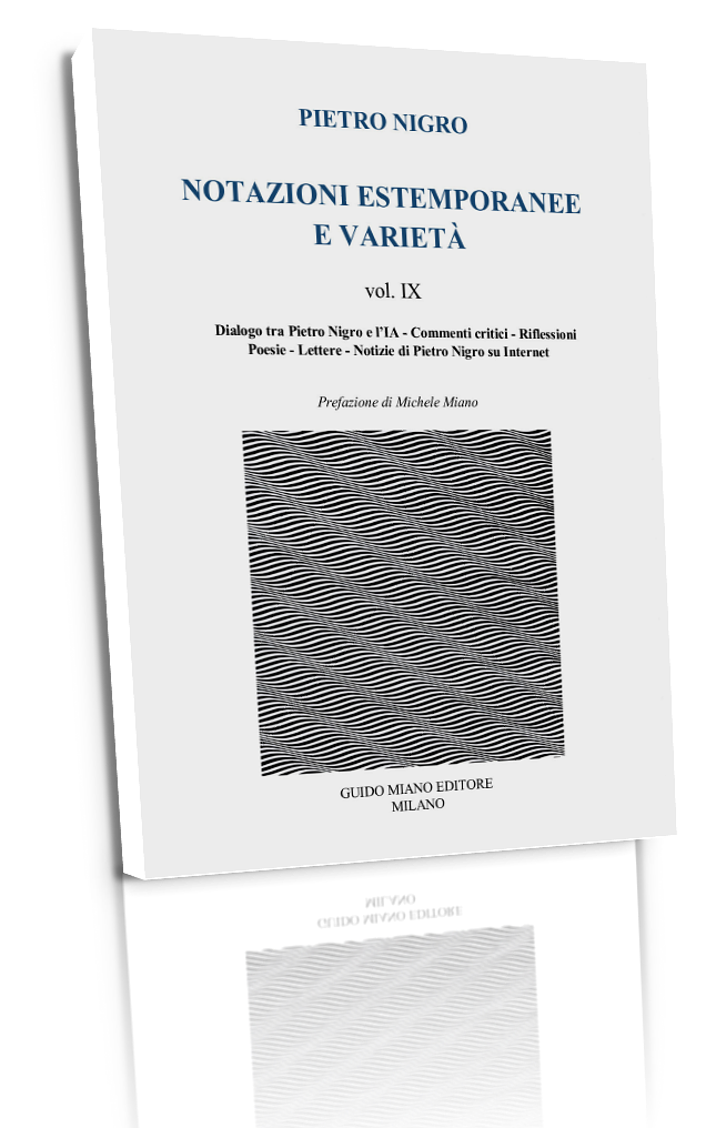 cover pietro nigro notazioni estemporanee e varietà