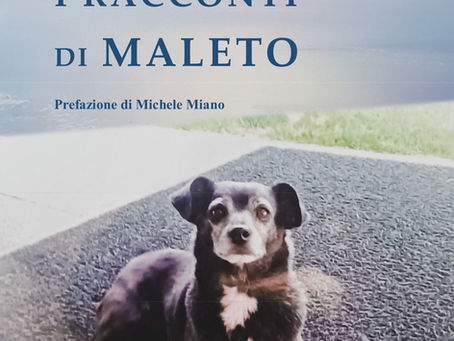 libro i racconti di maleto