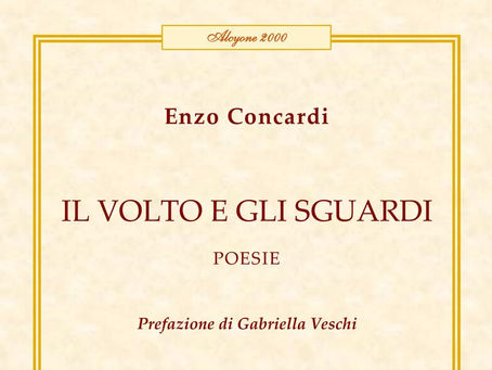 enzo concardi il volto e gli sguardi