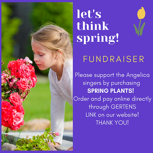 SPRING fundraiser(1).png