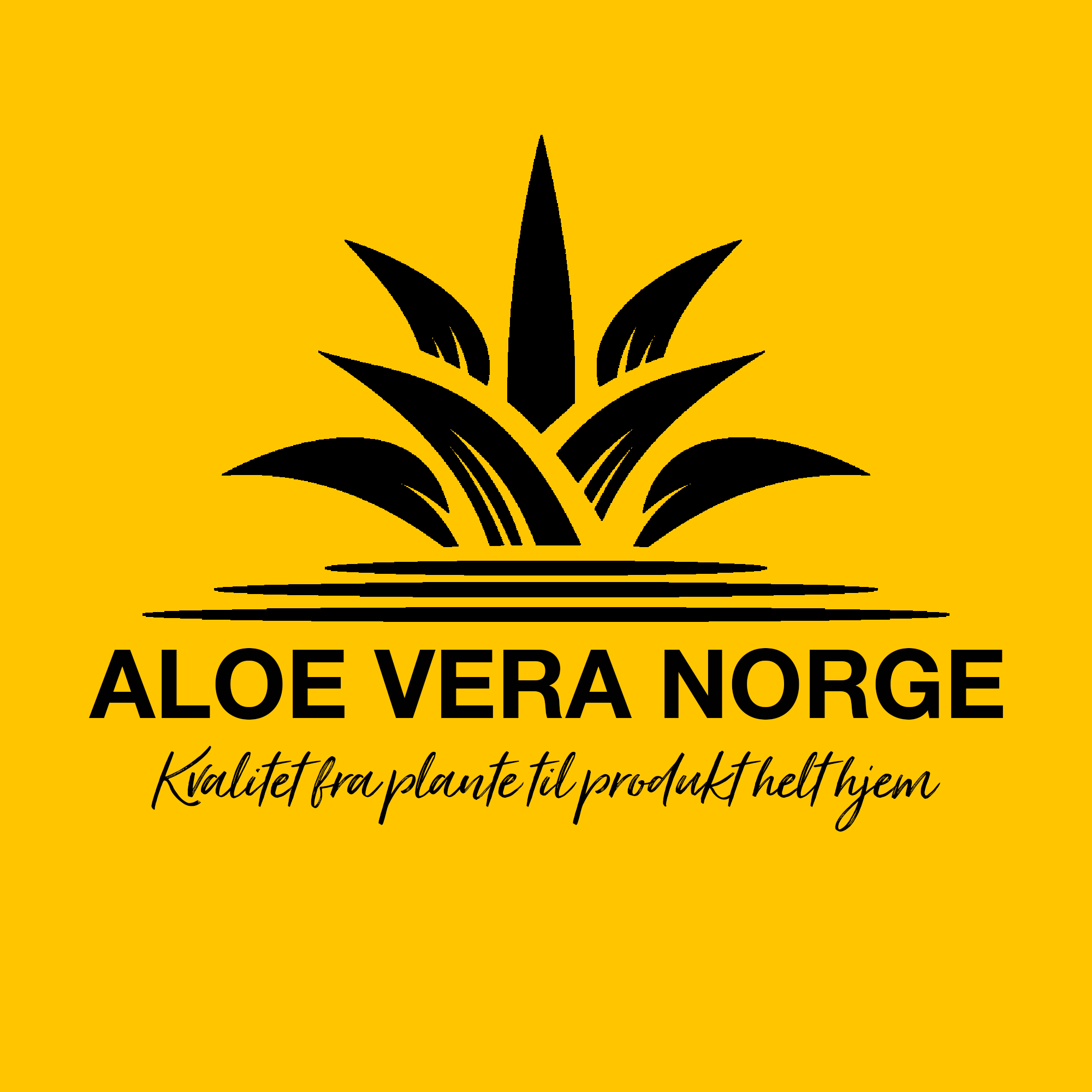 Forfatterens bilde: Aloe Vera Norge