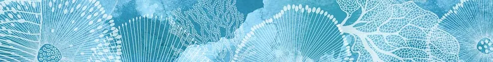 Marine Collagen Banner 2.jpg.webp