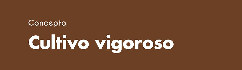 AGROINNSO-04.jpg