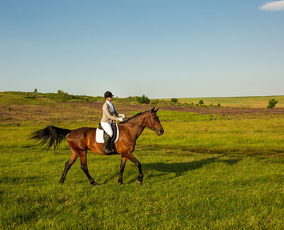 young-woman-riding-horse-green-field-horseback-riding-competition-hobby.jpg