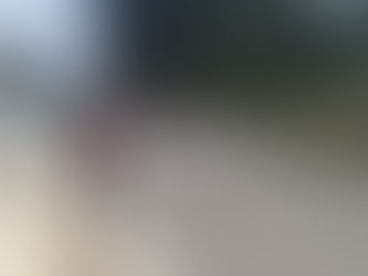 HGO | MUERE MUJER AL SER ARROLLADA EN ZACUALTIPÁN