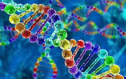 dna image May 2025.jpg