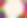Flower Border Landscape.png