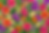 flowers all around.png