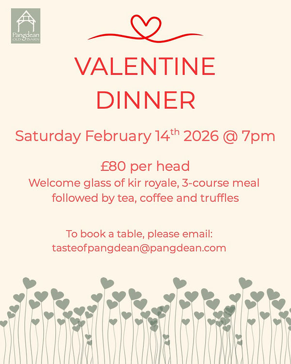 Valentine’s Dinner 4 page-1.jpg