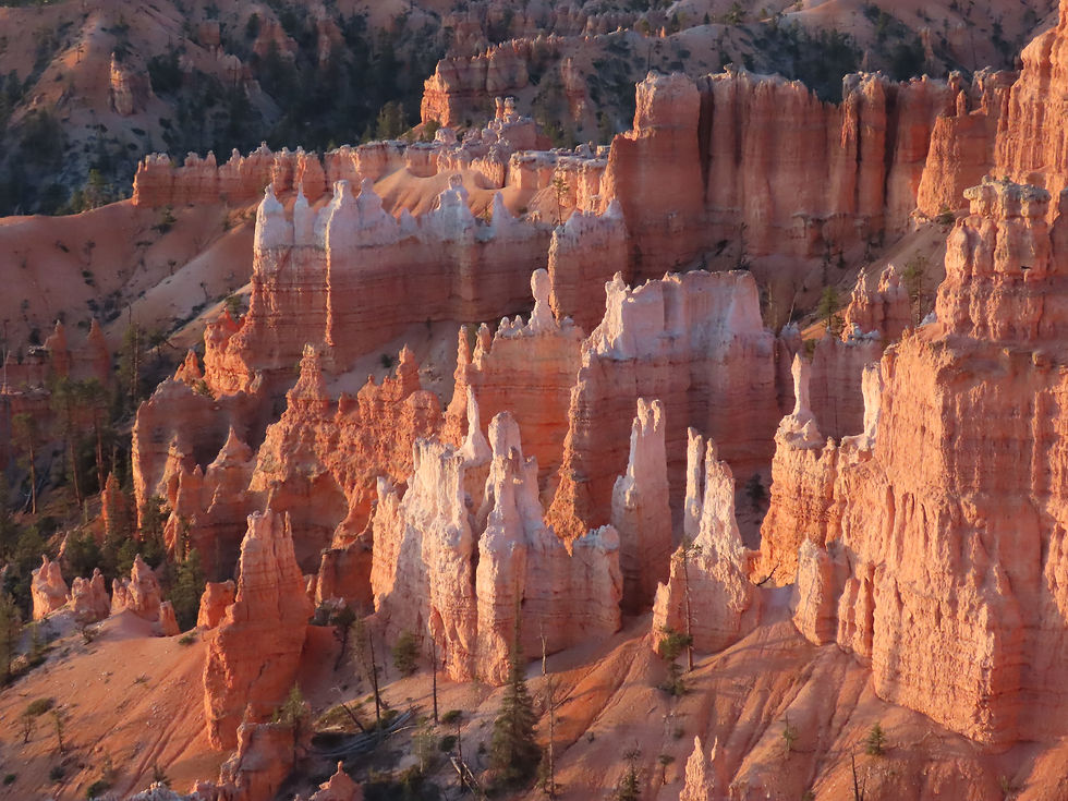 2025-04-Apr-Utah-26-NTCan (33)
