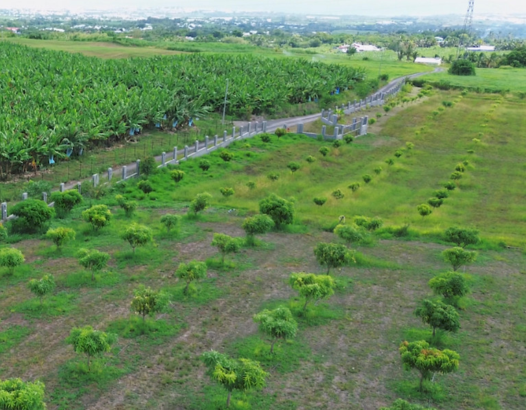 Cartographie de l'offre BIOMYR.jpg