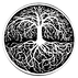 Archeus Naturae logo