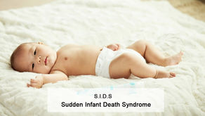 The Sudden Infant Death Syndrome