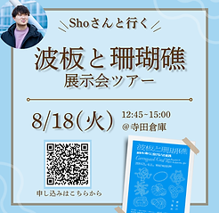 ☀️Shoさんと行く、波板と珊瑚礁展示会ツアー
〜夏、涼しい美術館へ〜