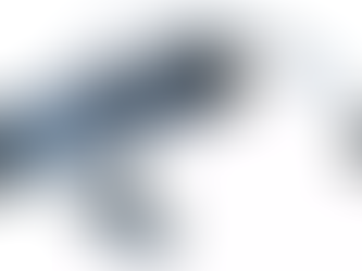 Porsche PDK Distance and Speed Sensor