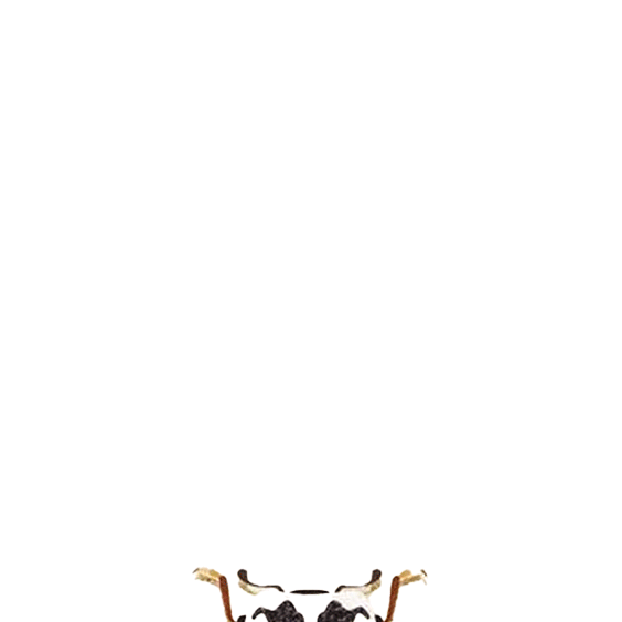 bug5.gif