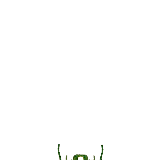 bug2.gif