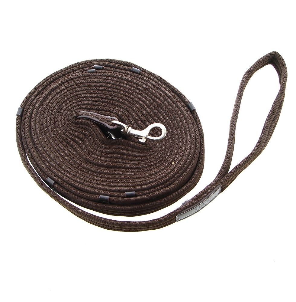 Miniaturbild: Longe Nylon Success 7.5m uni und multicolor