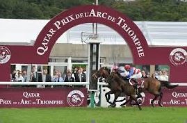 Miniaturbild: Pferdereise