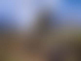 3 Podestplätze für Danis Bike Team zum Saisonauftakt