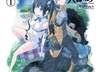 Is it Wrong to Try to Pick Up Girls in a Dungeon? Light Novel Comparison