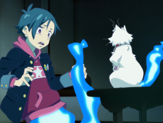 Sleepy Impressions: PUNCH LINE