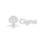 Cigna health insurance accepted at Nord Ro Clinic
