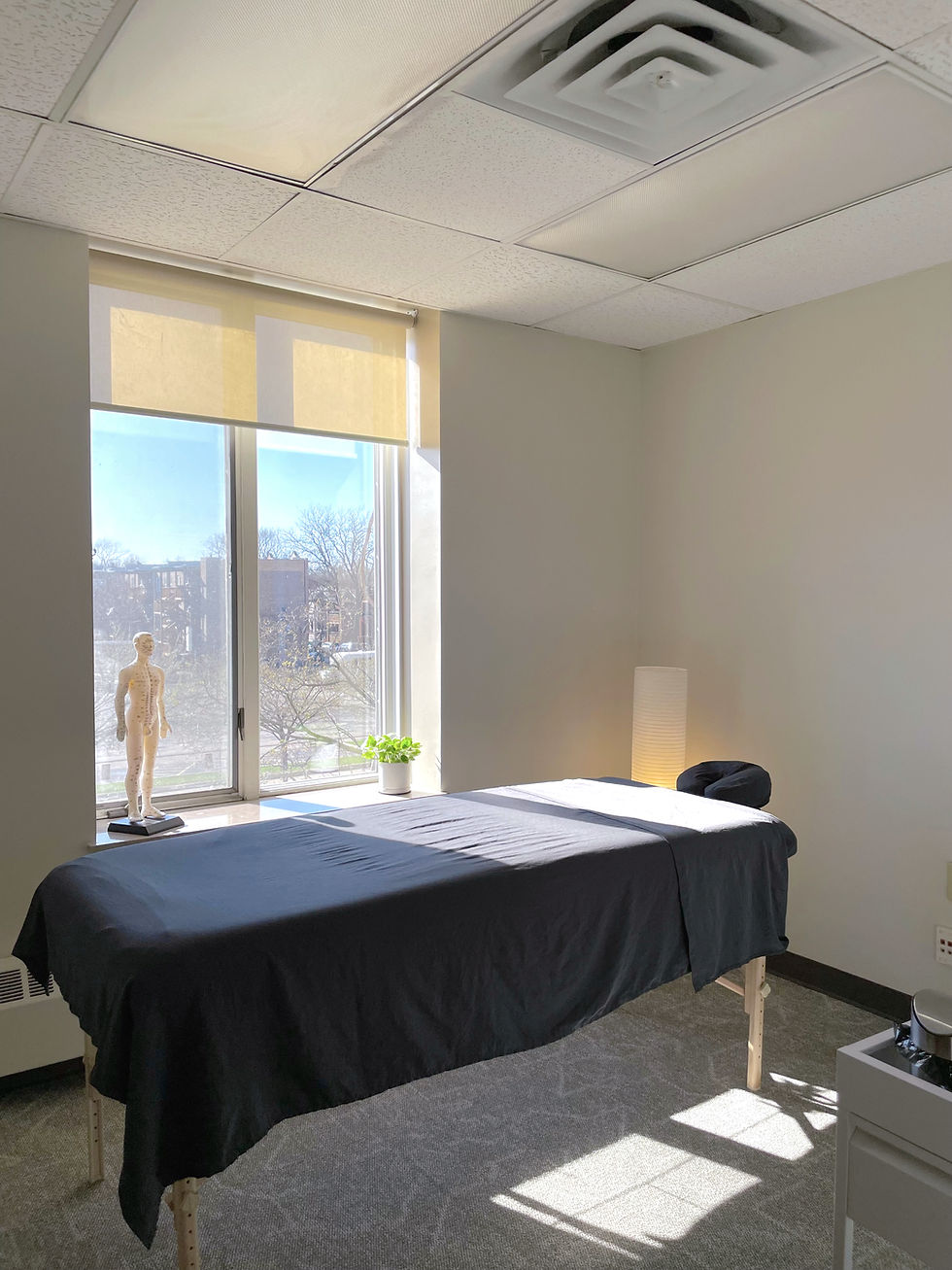 Nord Ro Clinic treatment space at 5015 N Paulina St Suite 345, Andersonville, Chicago