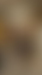 Boulder Babe's Wearable Art Collection: A Sustainable Fashion Revolution in Denver, Colorado