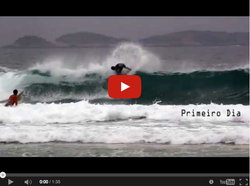 MARCELO BISPO - ANIMAL