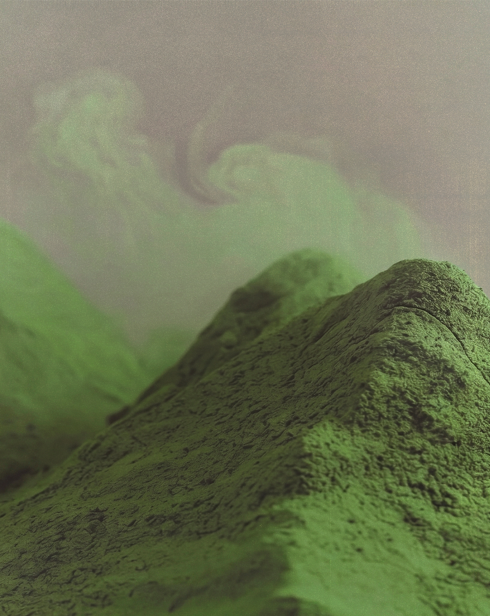 Artboard 1 copy 2.png