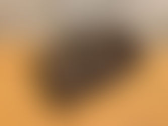 買取と質屋の上州屋荻窪店 ルイ・ヴィトンの買取