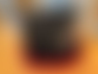 買取と質屋の上州屋荻窪店 ルイ・ヴィトン入荷情報