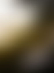 Los mejores tips de fotógrafos expertos en bodas para tener una sesión de lujo el gran día.