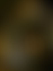 La magia detrás de la fotografía de bodas.