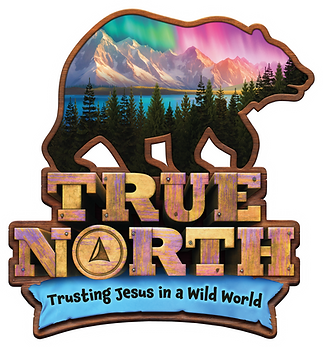 true-north-logo-HiRes-RGB.png
