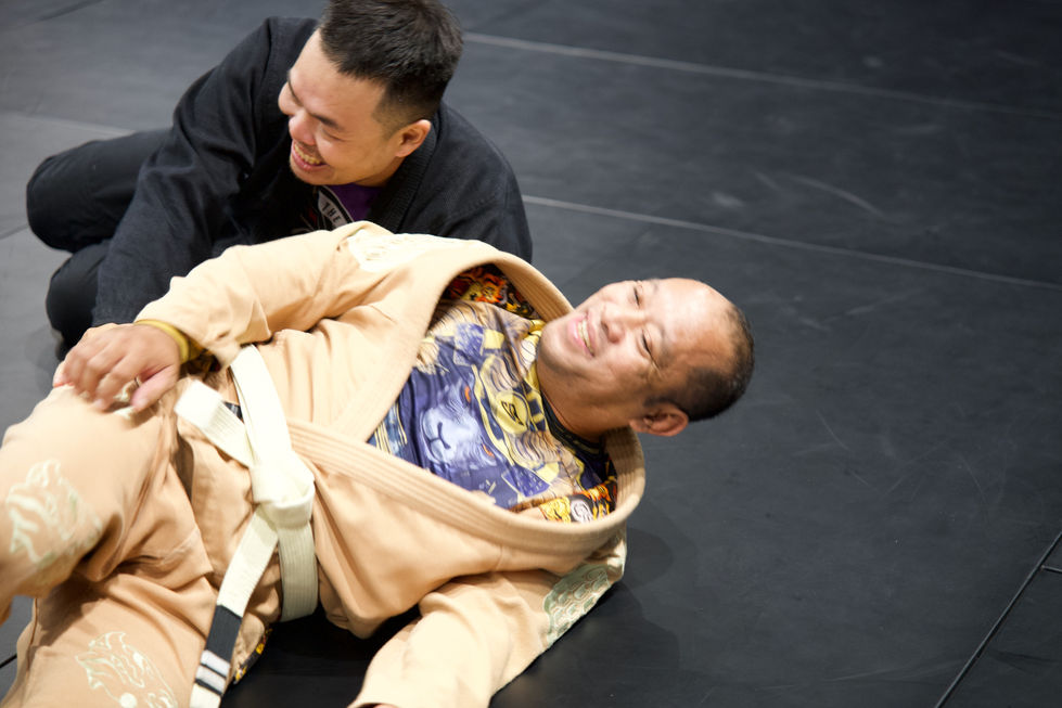 Vietnam Jiu Jitsu