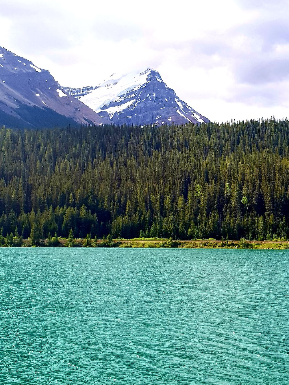 What about that scenery!