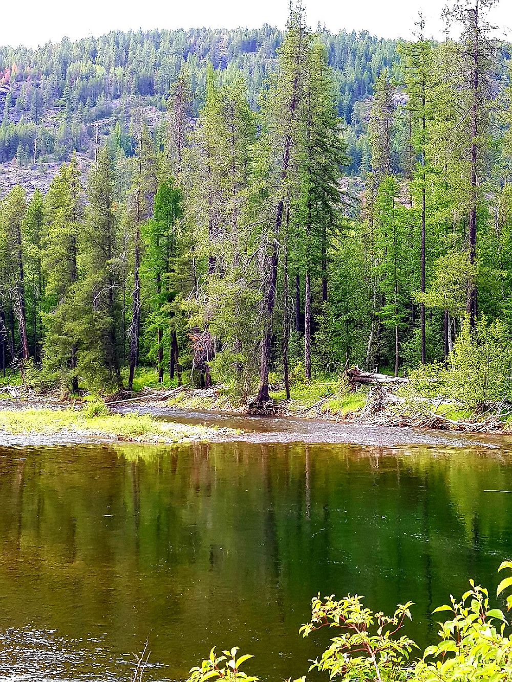Perfect place to catch a trout